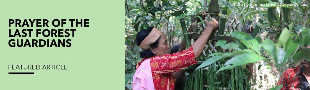 Prayer of the Last Forest Guardians - International Indigenous Peoples ...