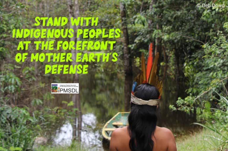 Stand with Indigenous Peoples at the forefront of Mother Earth’s ...